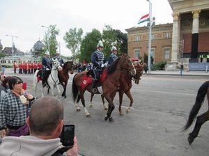 IMG_9208.jpg