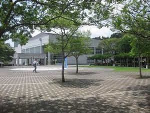 IMG_9223.jpg