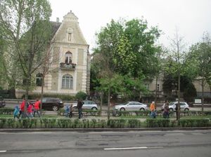 IMG_9224.jpg
