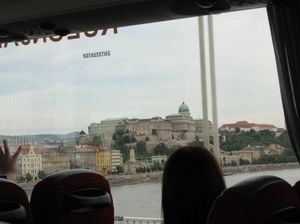 IMG_9264.jpg