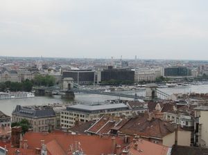 IMG_9323.jpg