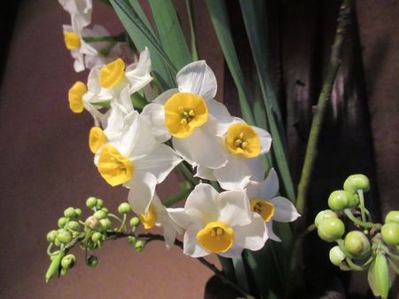 IMG_9439.jpg