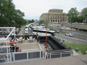 IMG_9505.jpg