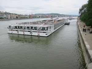 IMG_9513.jpg