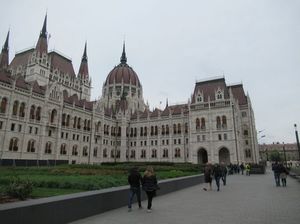 IMG_9538.jpg