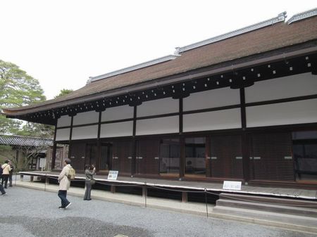 IMG_9558.jpg