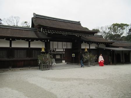 IMG_9726.jpg