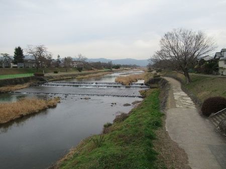 IMG_9761.jpg