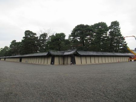 IMG_9769.jpg