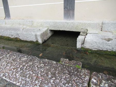 IMG_9776.jpg