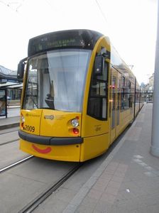 IMG_9886.jpg