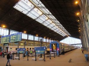 IMG_9896.jpg