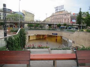 IMG_9908.jpg