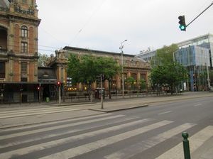 IMG_9911.jpg